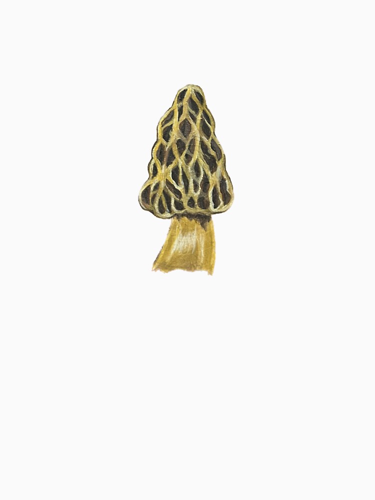 Morel by aratolar