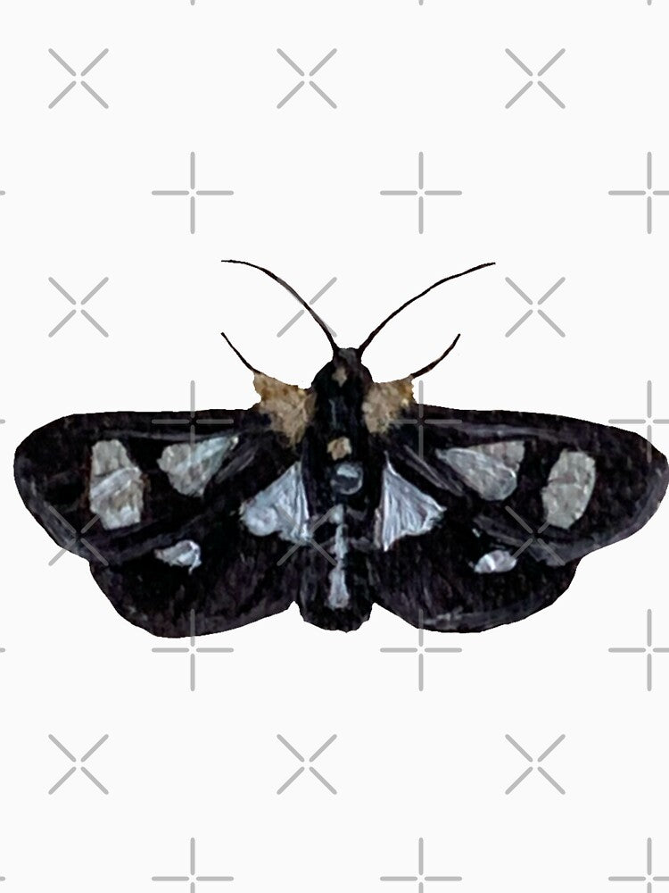eight-spotted forester moth by kaitlynyaru.art