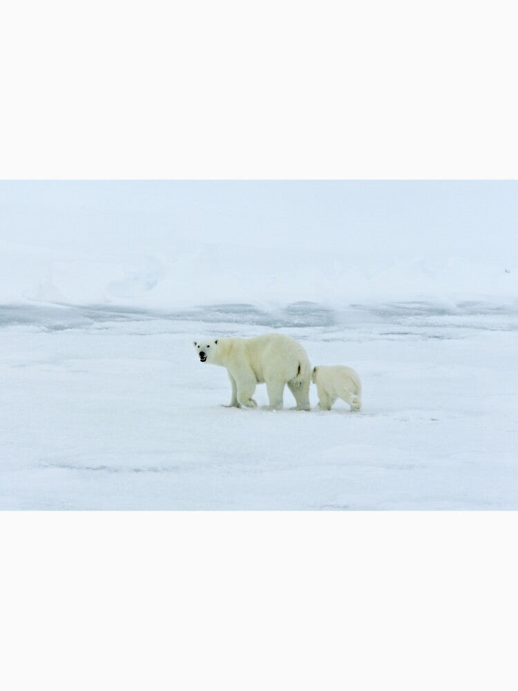 Polar Bear and Cub by BravuraMedia