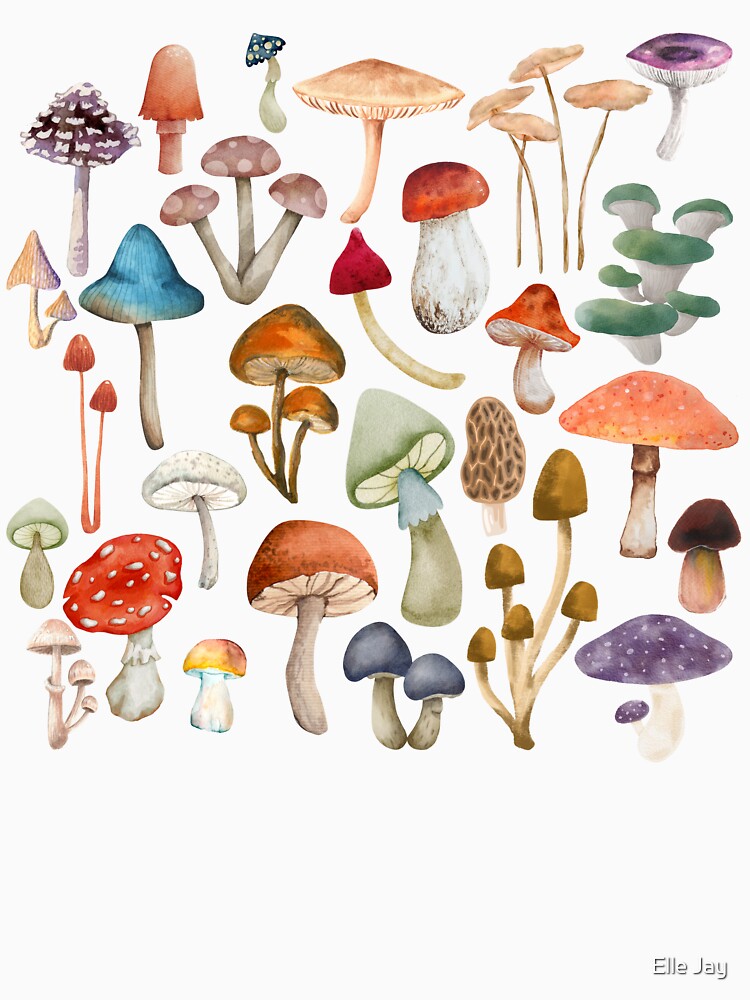 Mycology 2 by re:collection studio
