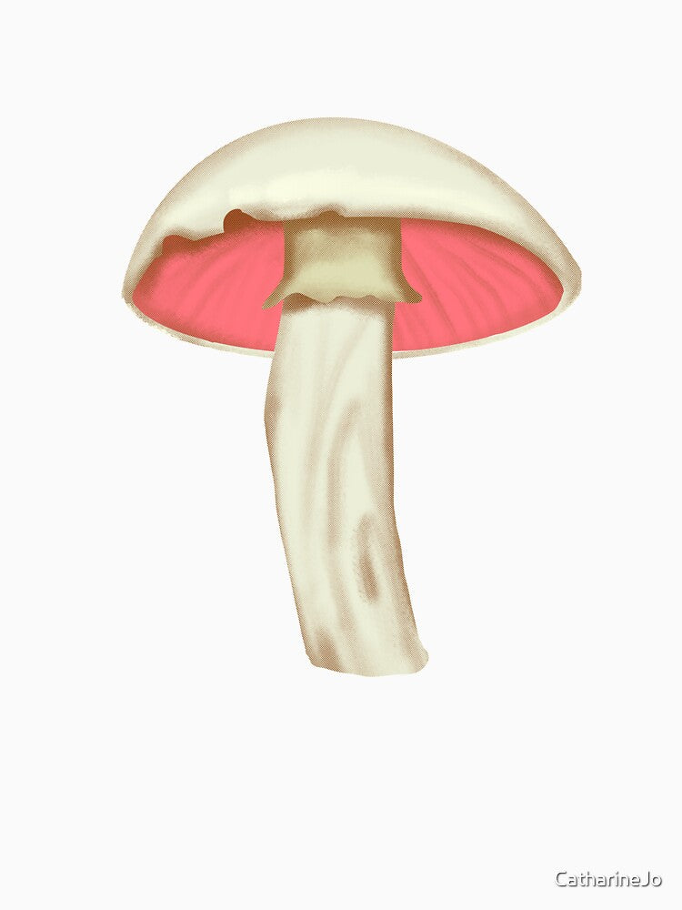 Common Meadow Mushroom by Katie Morris Art