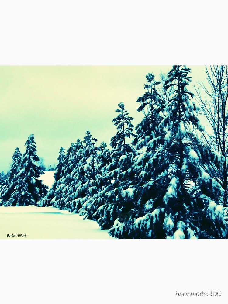 Winter Wonderland by bertsworks300