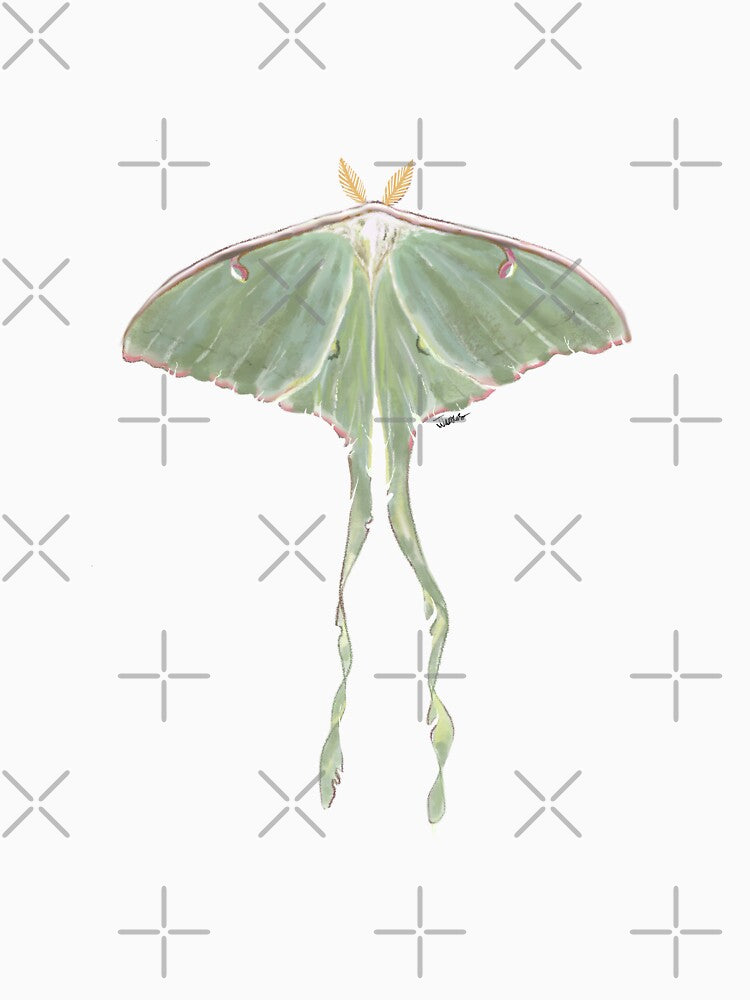 Luna Moth by bluejayknits