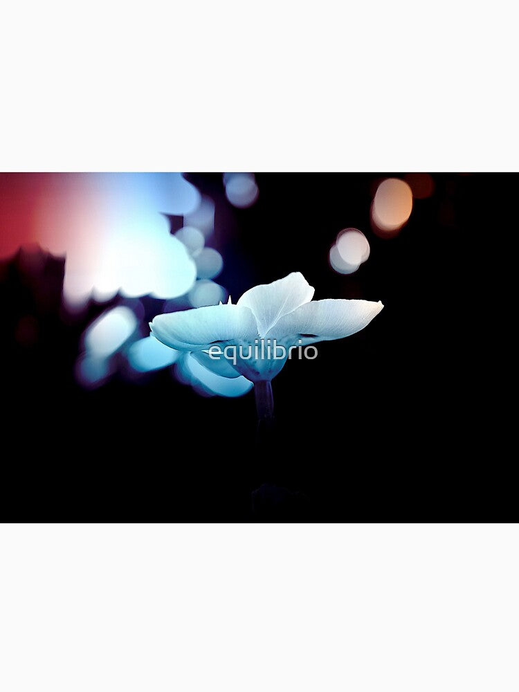 Remember by equilibrio
