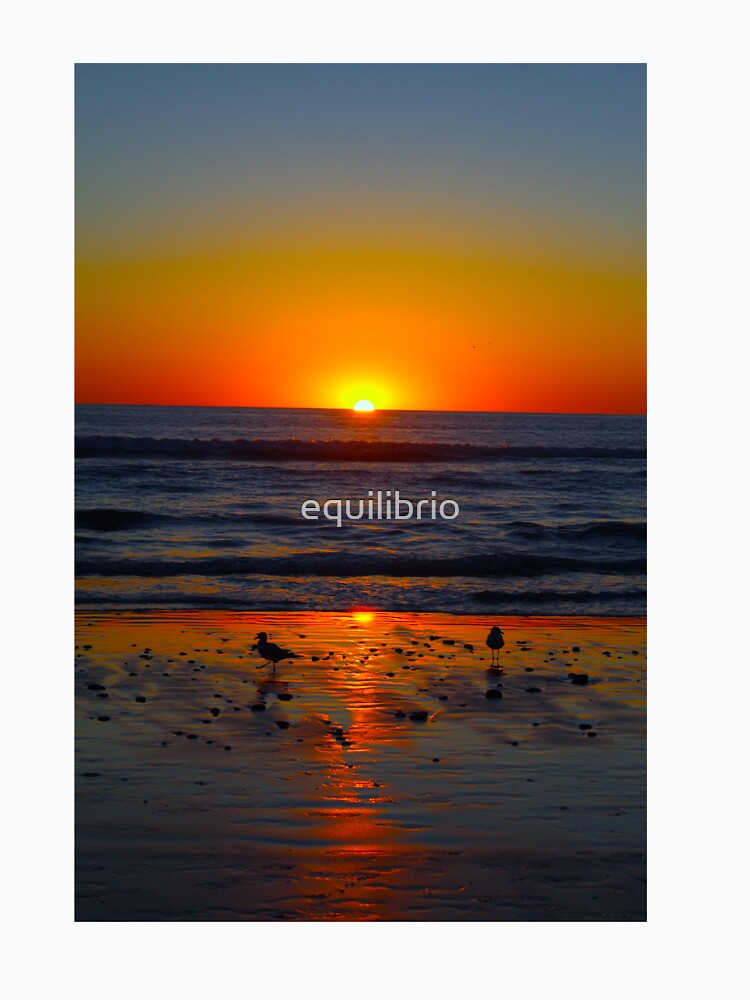 Calm by equilibrio