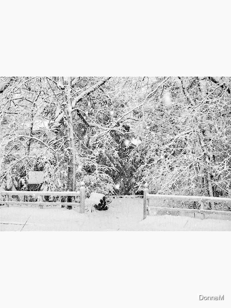 Winter Wonderland by DonnaM
