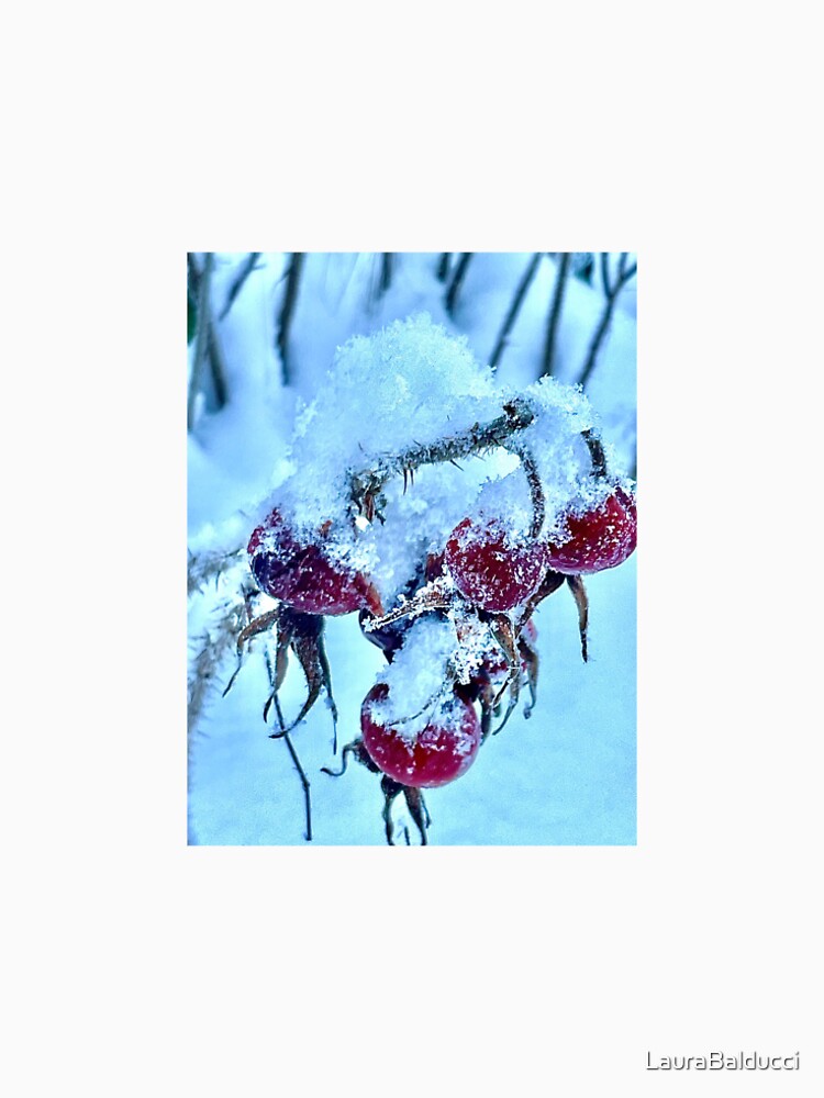 Happy Holidays by LauraBalducci