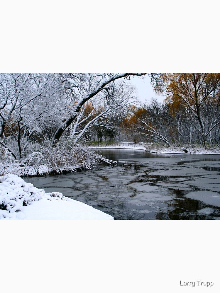 Winter Wonderland... by Larry Trupp