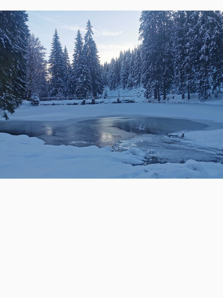 winter by Mindset_im_gepeack