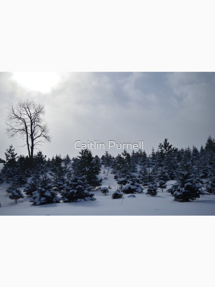 Winter Wonderland by Caitlin Purnell