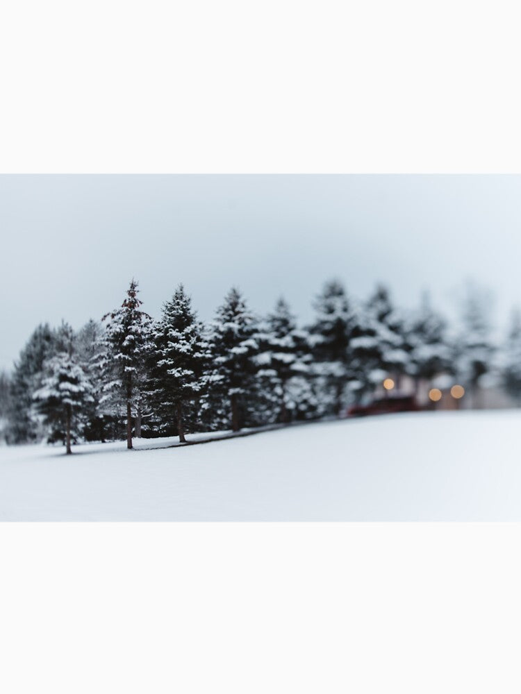 Winter Wonderland by chelseavictoria
