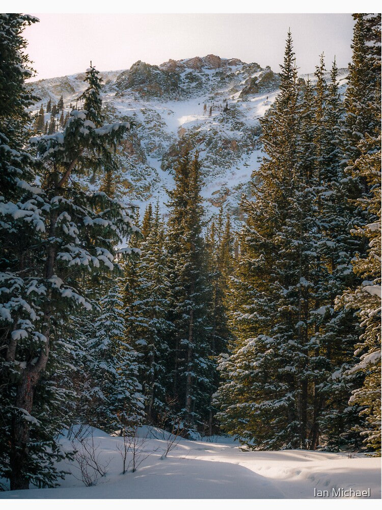 Winter Wonderland by Ian Michael