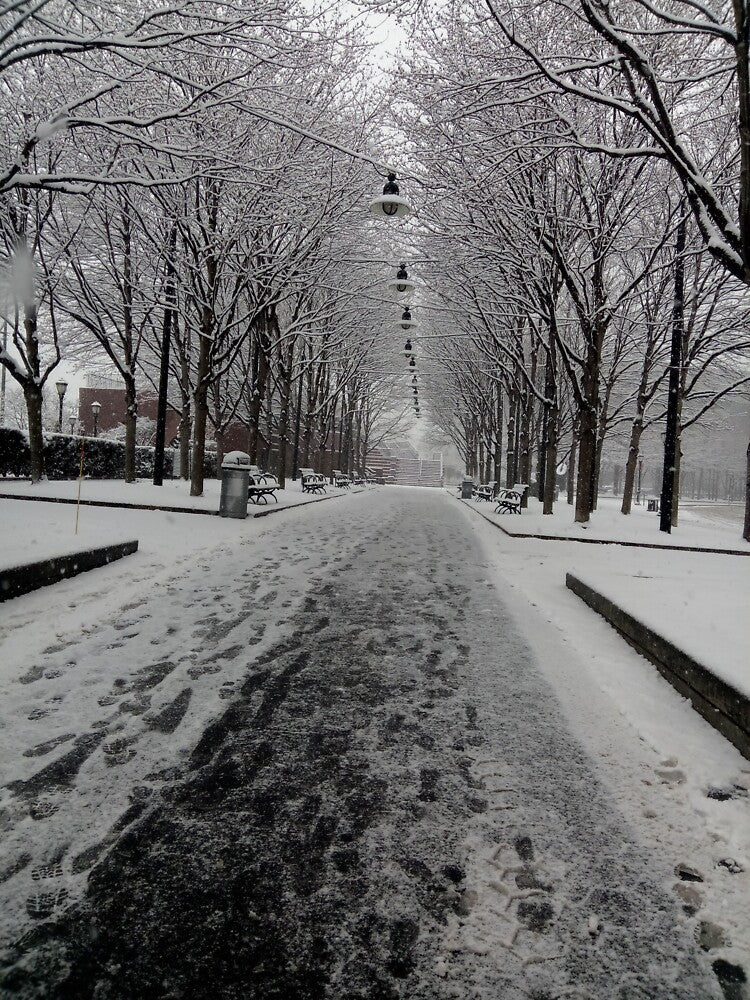Winter Wonderland by broadwaygirl142