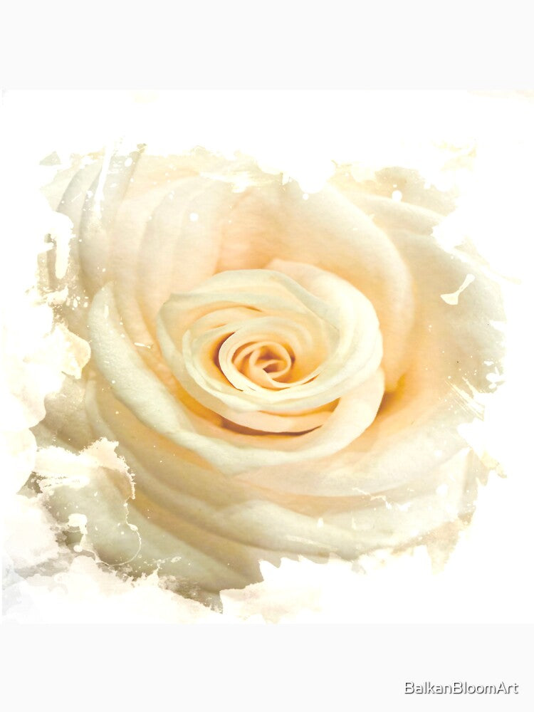 Shabby Chic Cream Rose Watercolor Splash Botanical Art by BalkanBloomArt