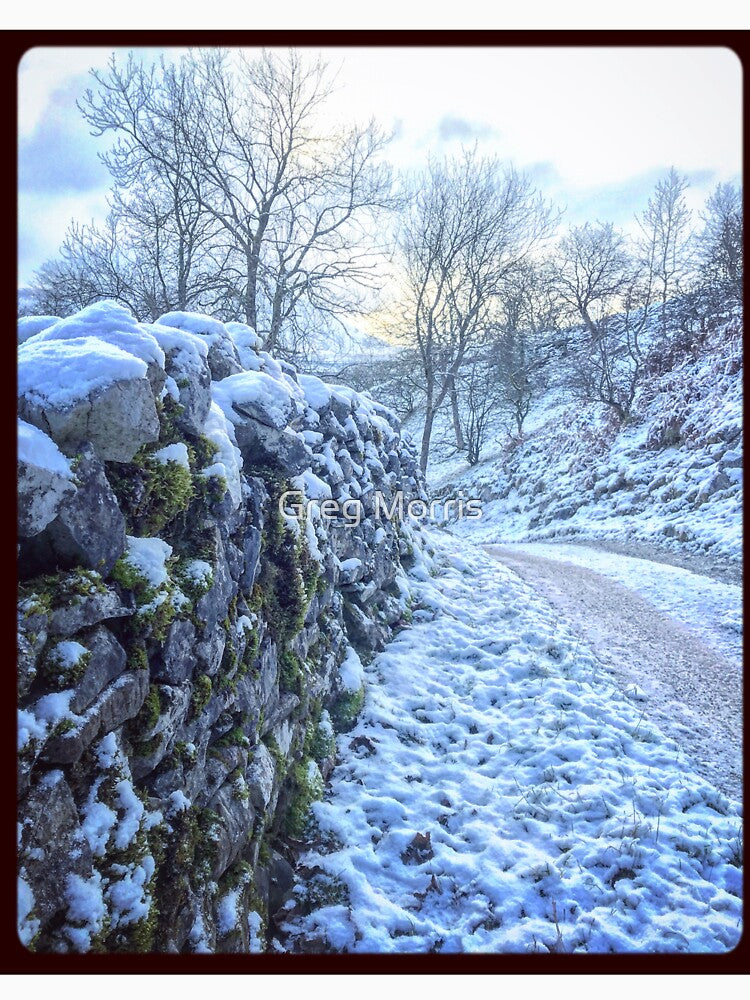 Winter scene in the Yorkshire Dales. by Greg Morris