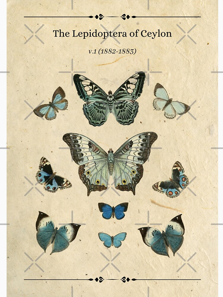 Vintage Blue Butterfly Collection by Sershni