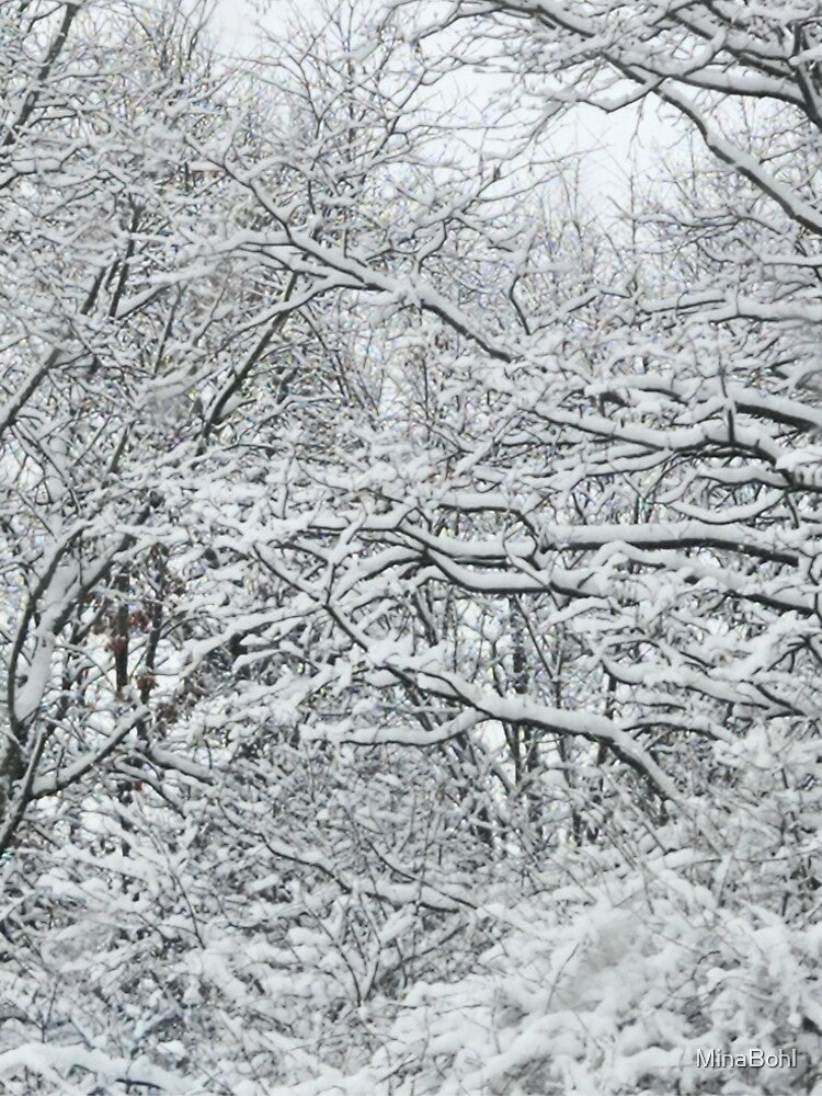 Winter Wonderland by MinaBohl