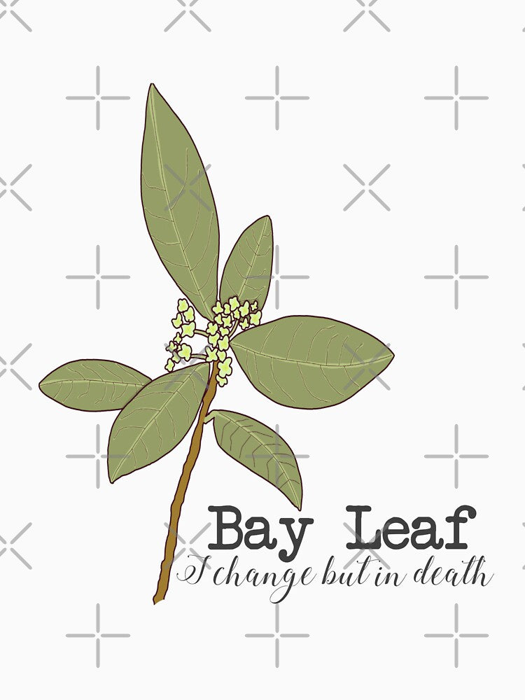 Bay leaf (I change but in death) by Becky-Marie