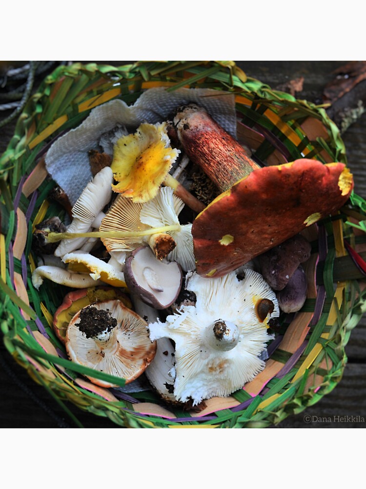 Basket of Mushrooms by Phoenixphoxes