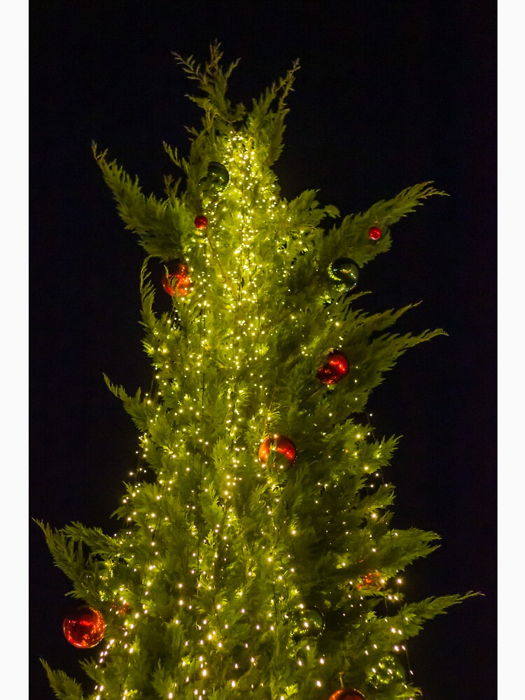 Festive Christmas Tree Covered In Warm String Lights And Red Ornaments Against Night Sky by Nmallia