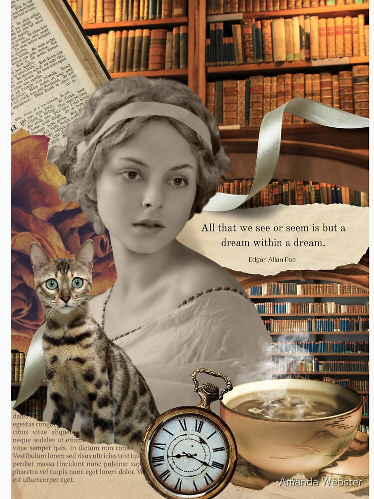 All That We See Is A Dream by Amanda Webster