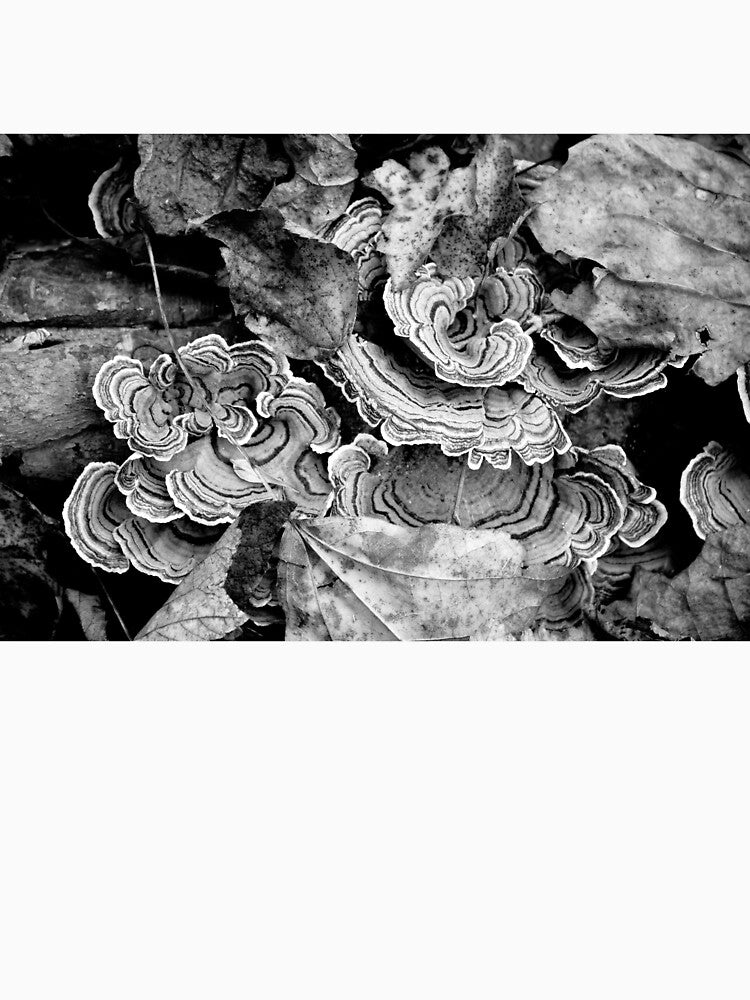 Turkey Tail Mushrooms in Black and White by lanettesart