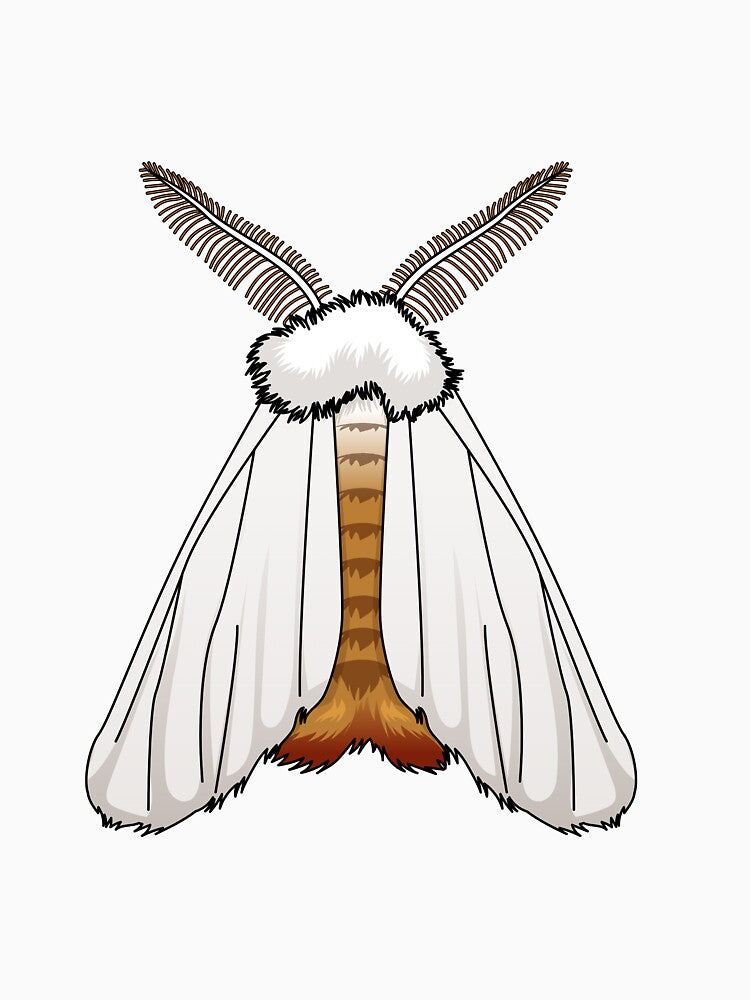Moth by Wittylot