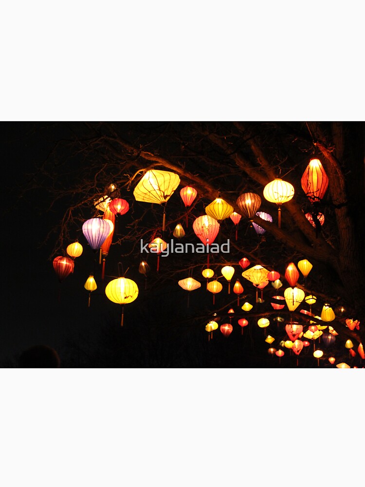 Paper Lanterns by kaylanaiad