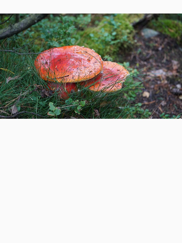 Red mushrooms by El-images1
