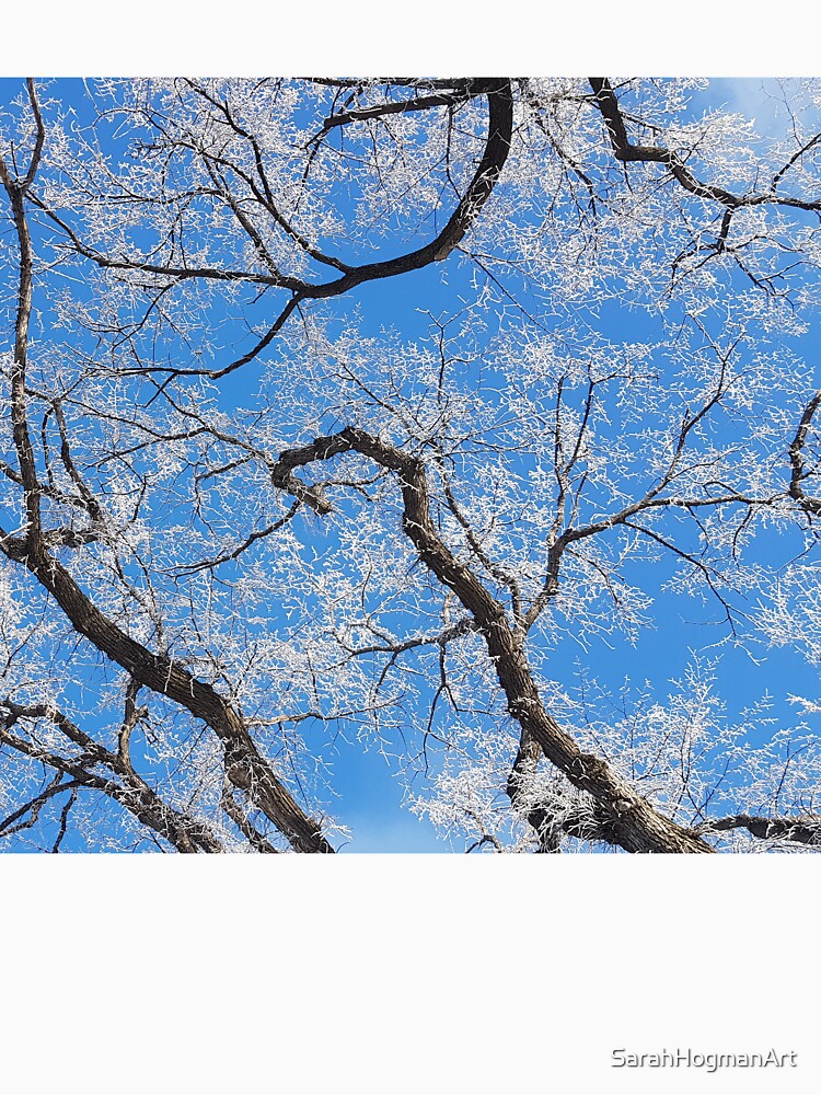 Frosted Oaks by SarahHogmanArt