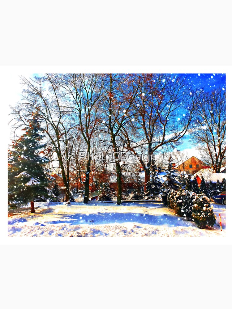Winter Wonderland by PhotoCDesign