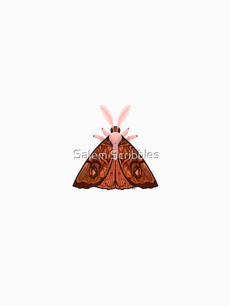 Wood Moth by Salem Scribbles