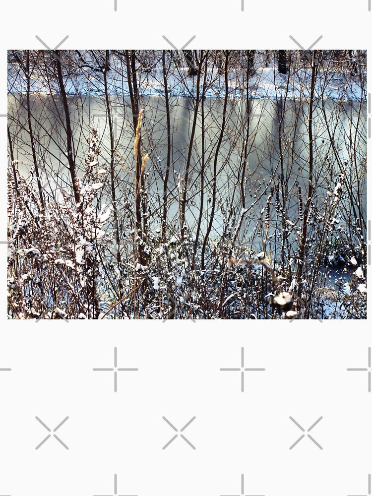 Winter snowy landscape photography | Winter trees and shrubs landscape by lausn