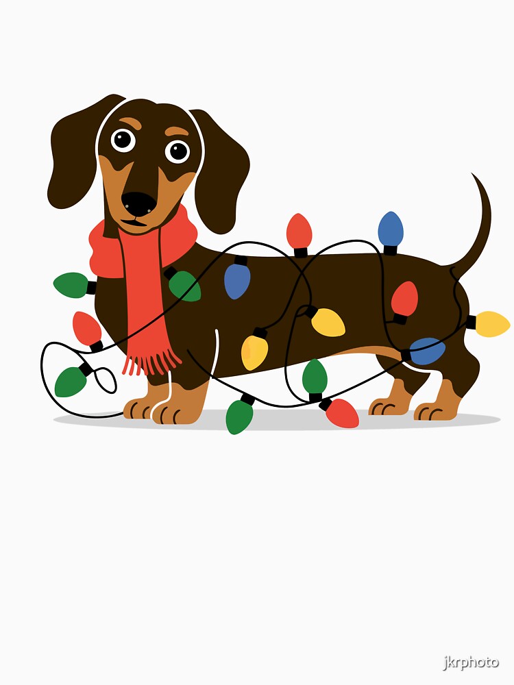 dachshund in Christmas lights by jkrphoto