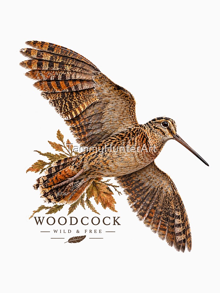 Woodcock in Flight – Autumn Hunting Landscape by TammyHunterArt