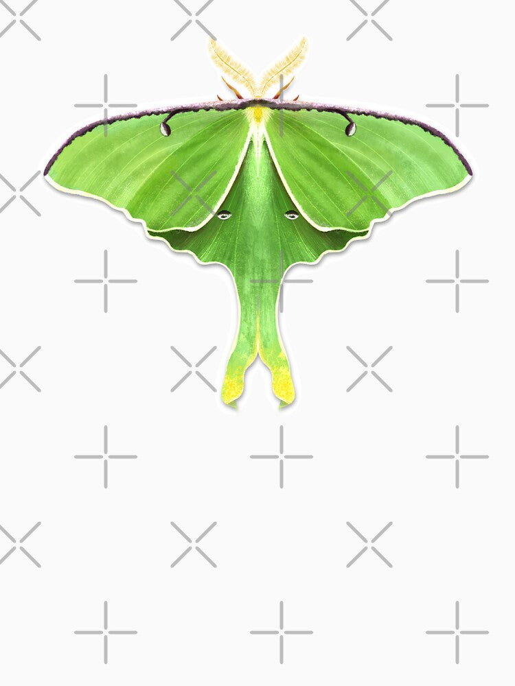 Luna Moth Sticker – Watercolor Green Moon Moth Illustration, entomology, nature insects, Actias Luna by Lone Jensen
