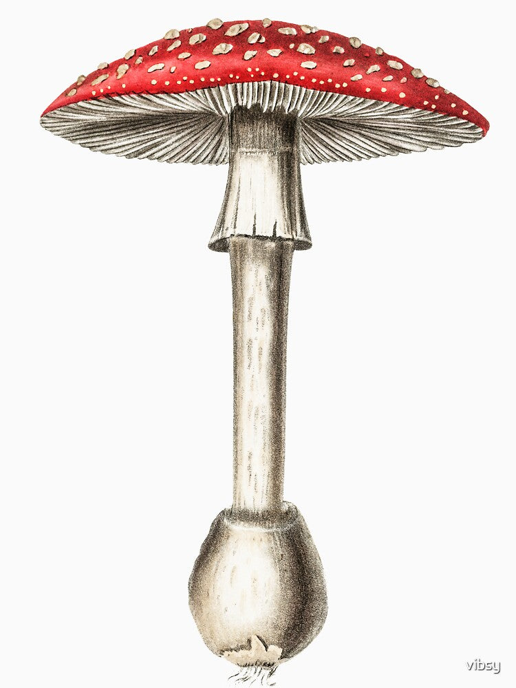 Vintage Fairy Mushroom by vibsy