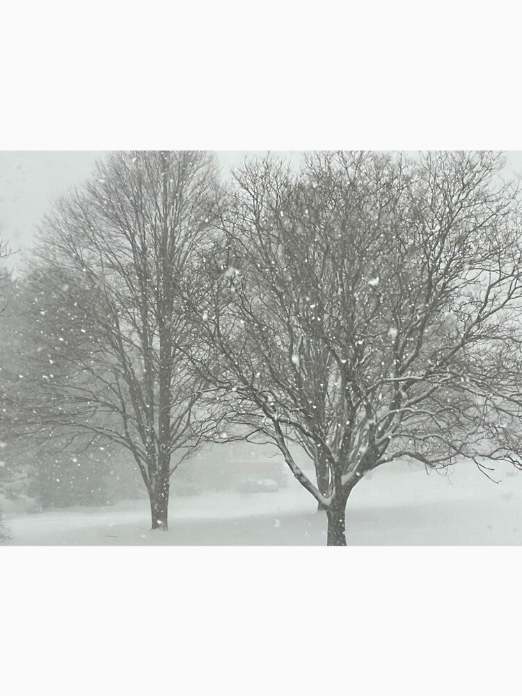 Winter Wonderland by BaroqueImages