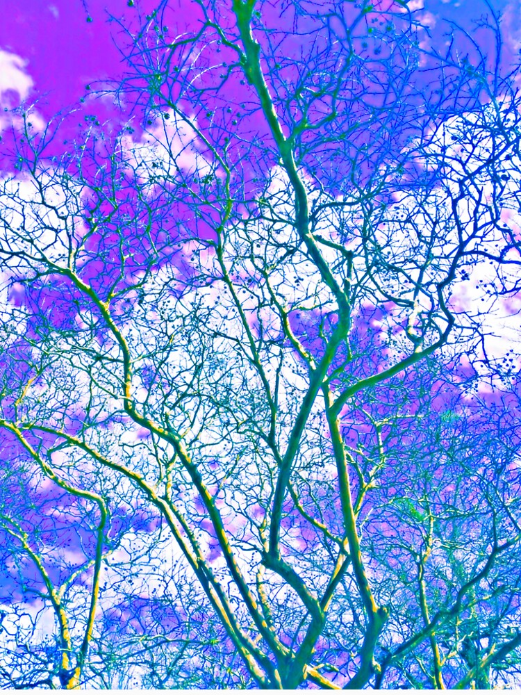A Dream of Trees by Sushi's Glimpses