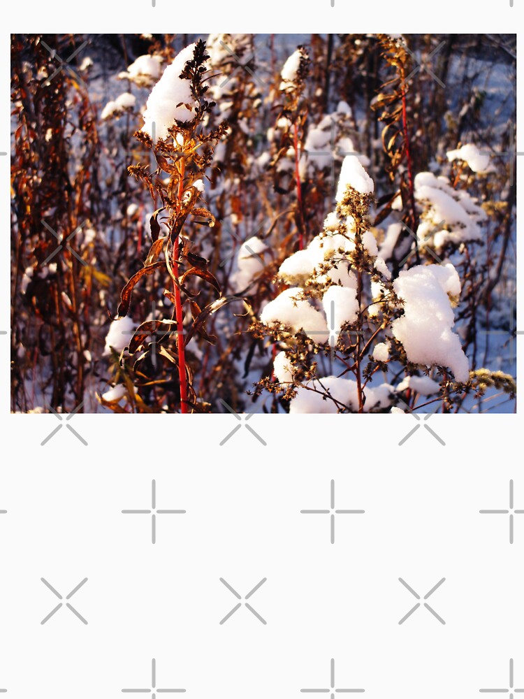 Abstract art winter photography | Abstract winter snow on grass art photography by lausn
