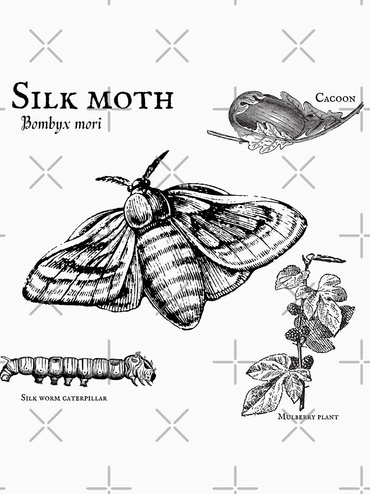 Silk worm by CGEst2019