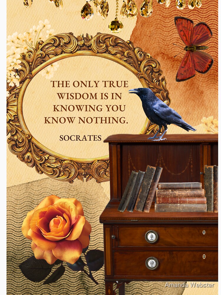 The Only True Wisdom by Amanda Webster