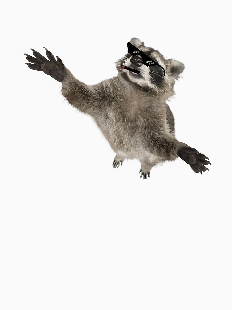 Funny Raccoon Meme Gifts For Animal Lovers by Cuteanimalgifts