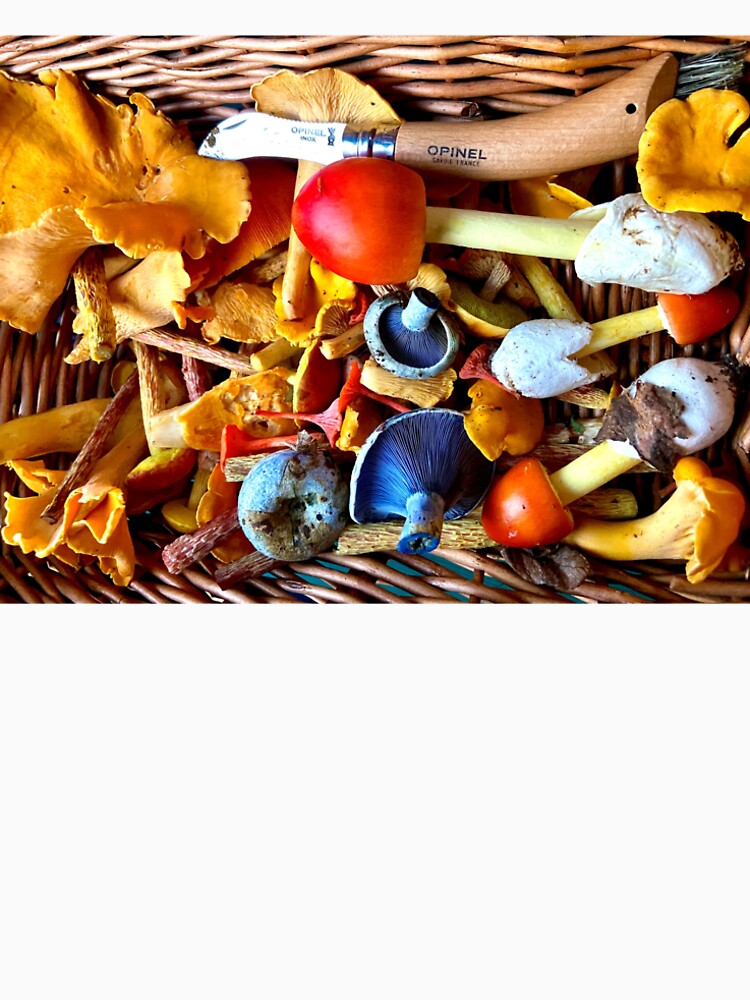 Mushroom Foraging Basket by leahnevershouts
