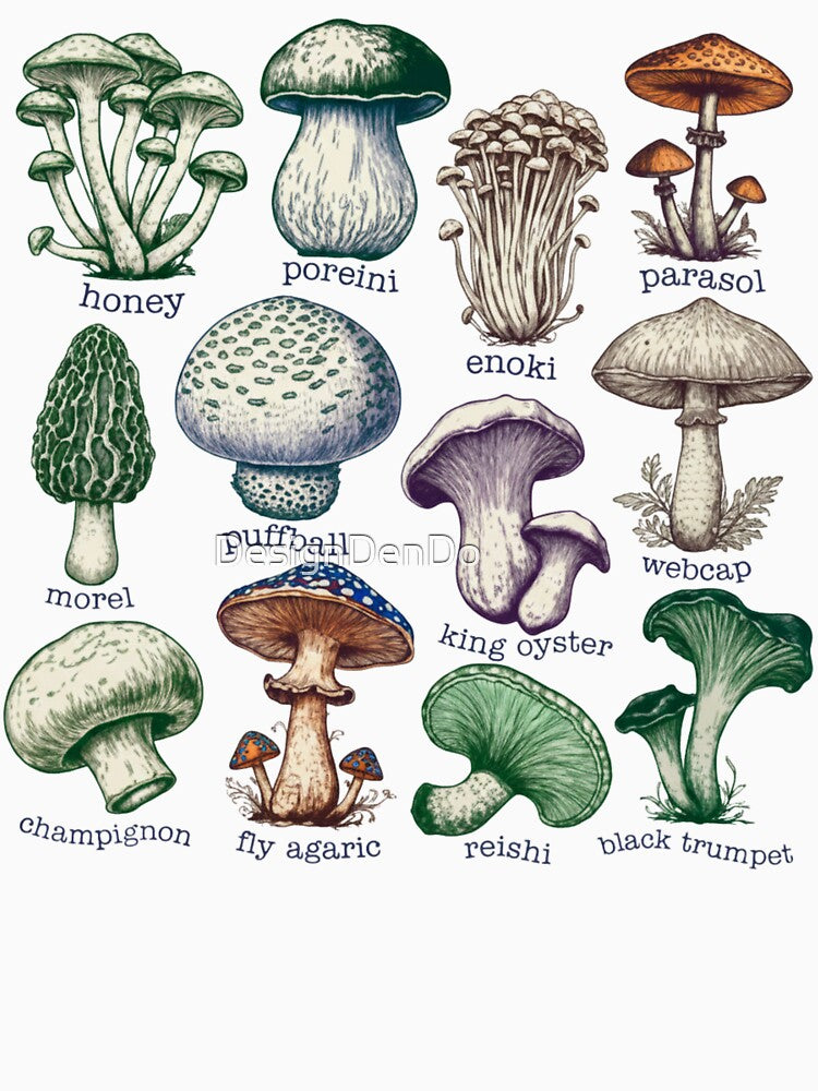 Vintage Mushroom, Nature Lover, Mushroom Collector, Gardener, Cottage Core Aesthetic, Gift for Mushroom Hobies by DesignDenDo ⭐⭐⭐⭐⭐