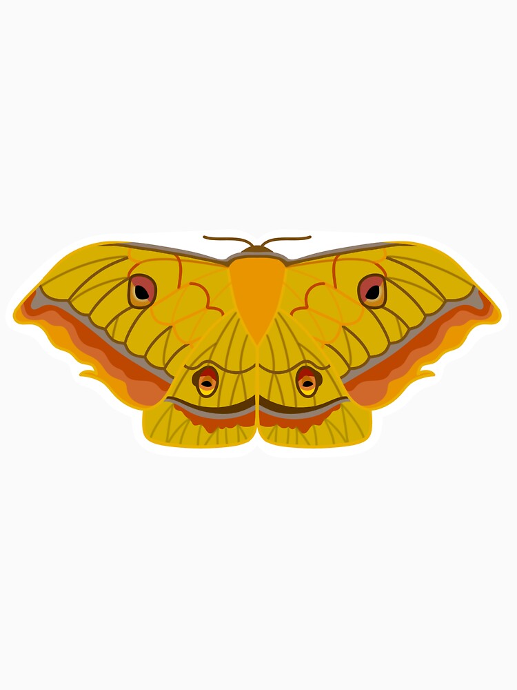 Japanese Silk Moth by esther-hartopp