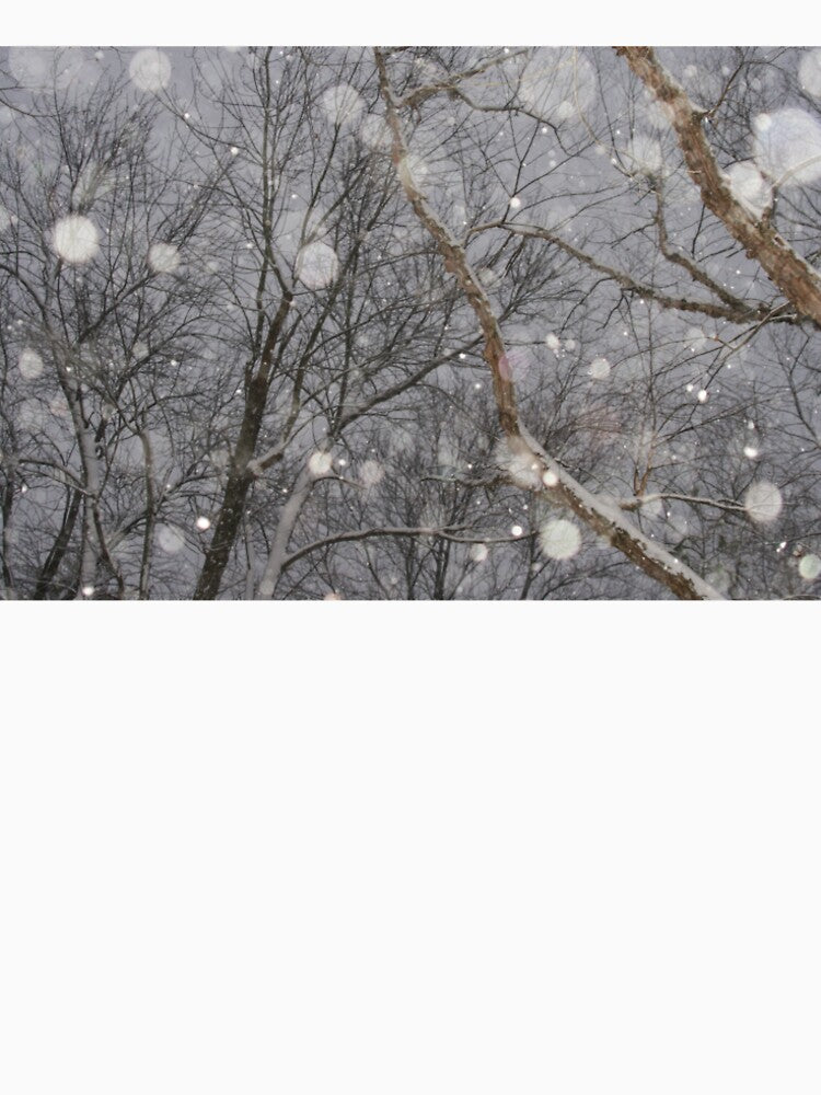 Winter Wonderland2 by DeenaSuzanne