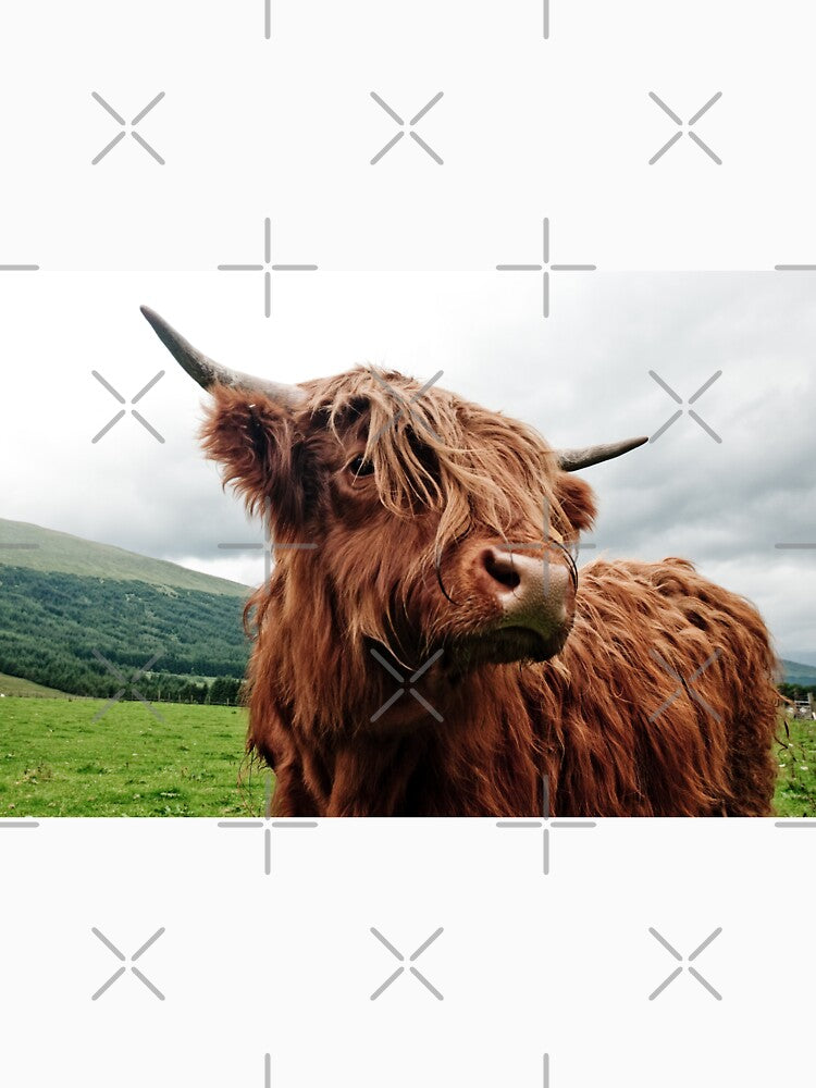 Highland Cow On A Farm by AnimalLover4eva