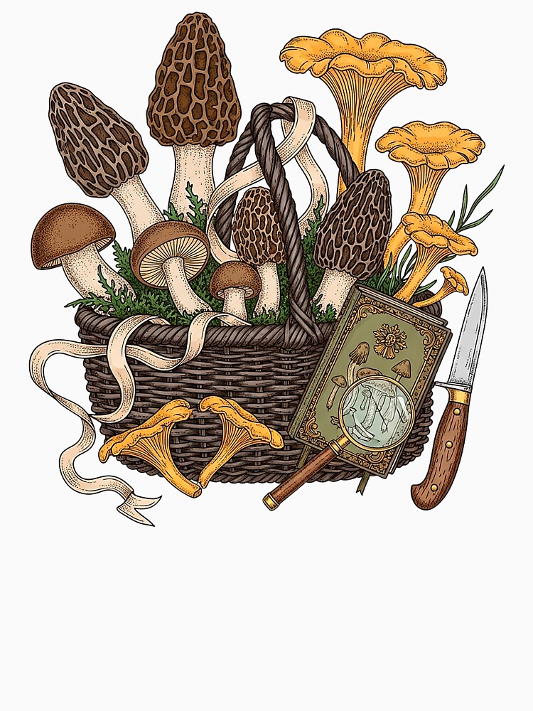 Vintage Botanical Mushroom Foraging Basket by SholoStudio