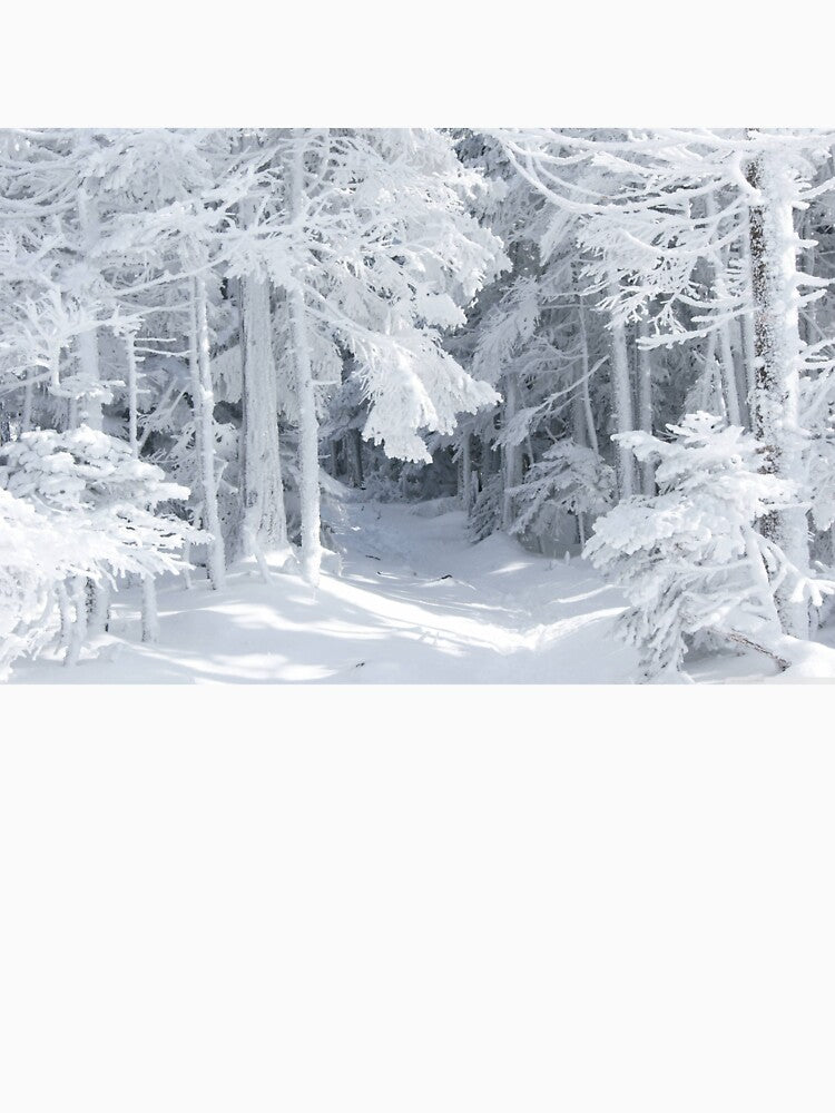 Snowy White Winter Forest by Maddie4Real